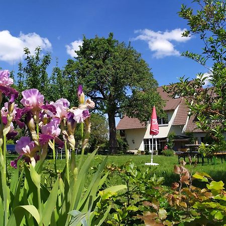 Landgasthof Zum Rappen Creglingen Exterior photo